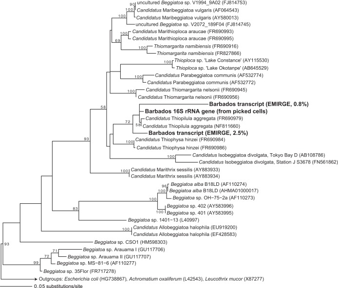 FIG 3