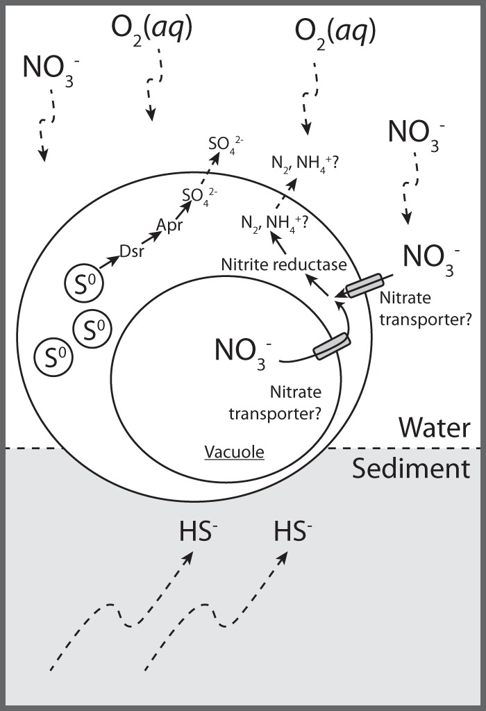 FIG 6