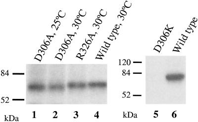 Fig 6.