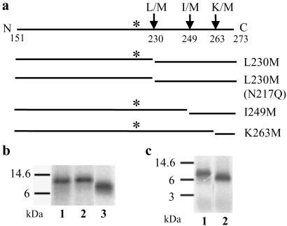 Fig 3.