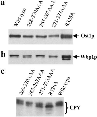 Fig 4.