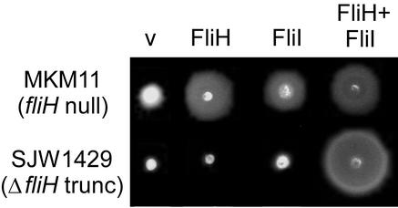 FIG. 6.