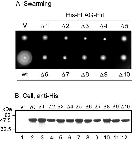 FIG. 5.