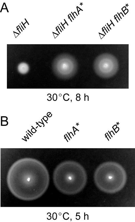 FIG. 7.