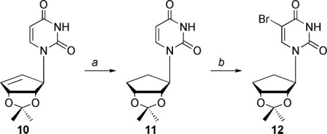 SCHEME 2