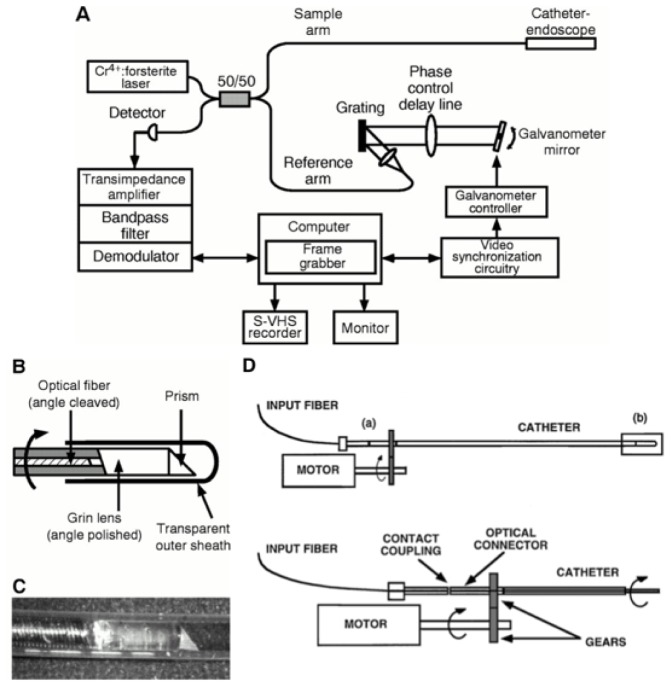 Fig. 1