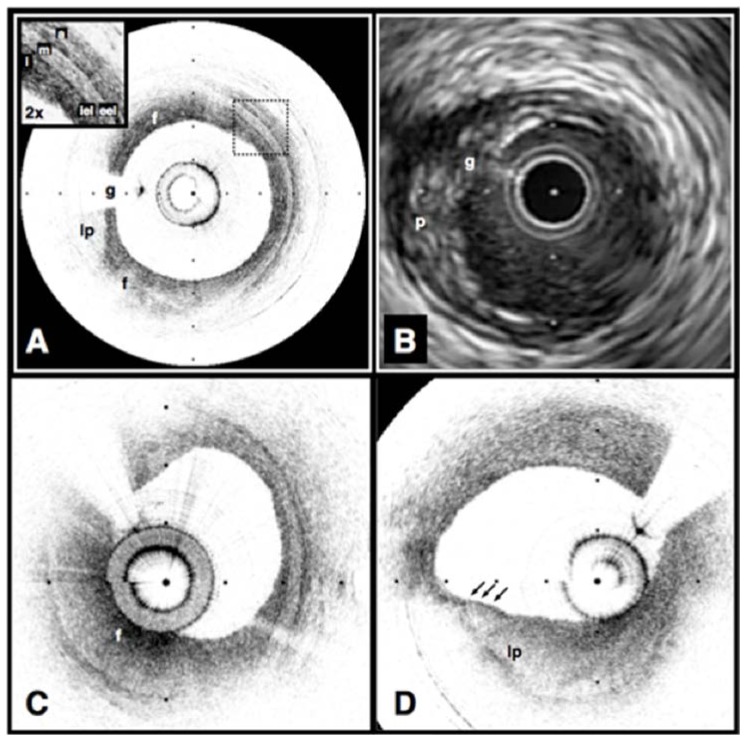 Fig. 7