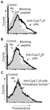 FIG 1
