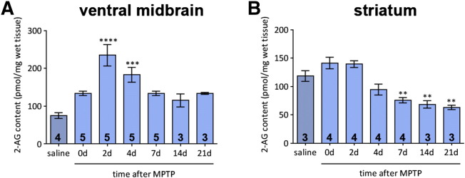 Fig. 6