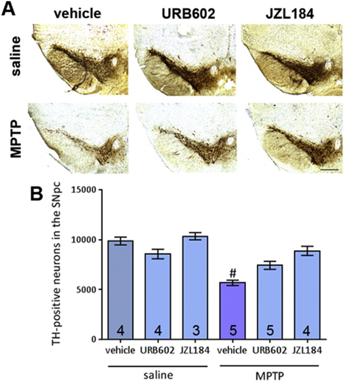 Fig. 2