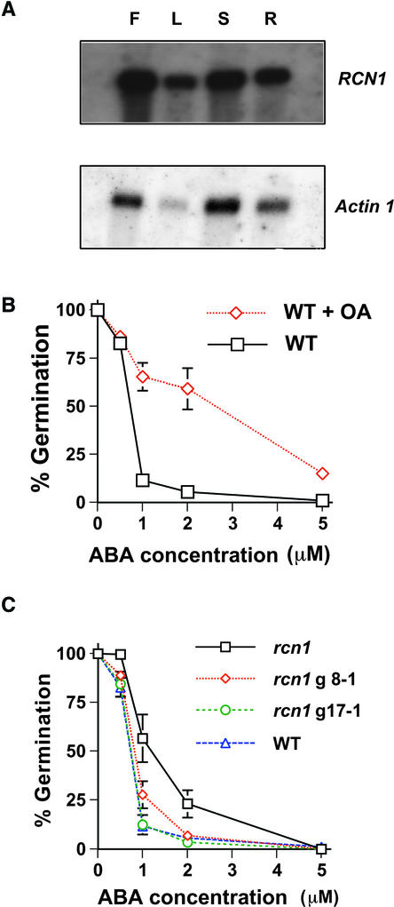 Figure 5.