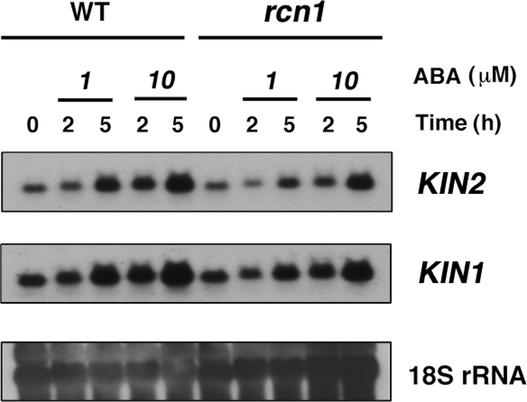 Figure 6.