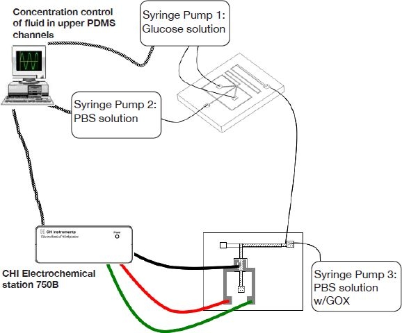 Figure 5.