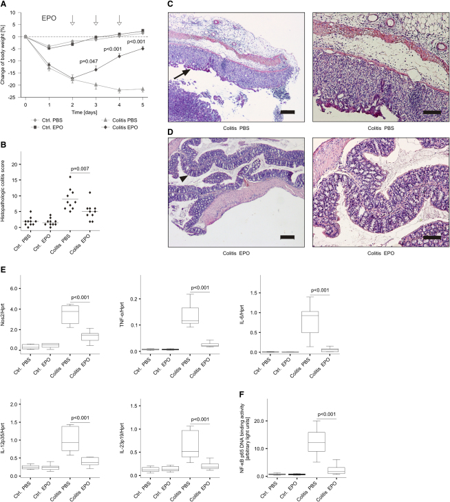 Figure 6