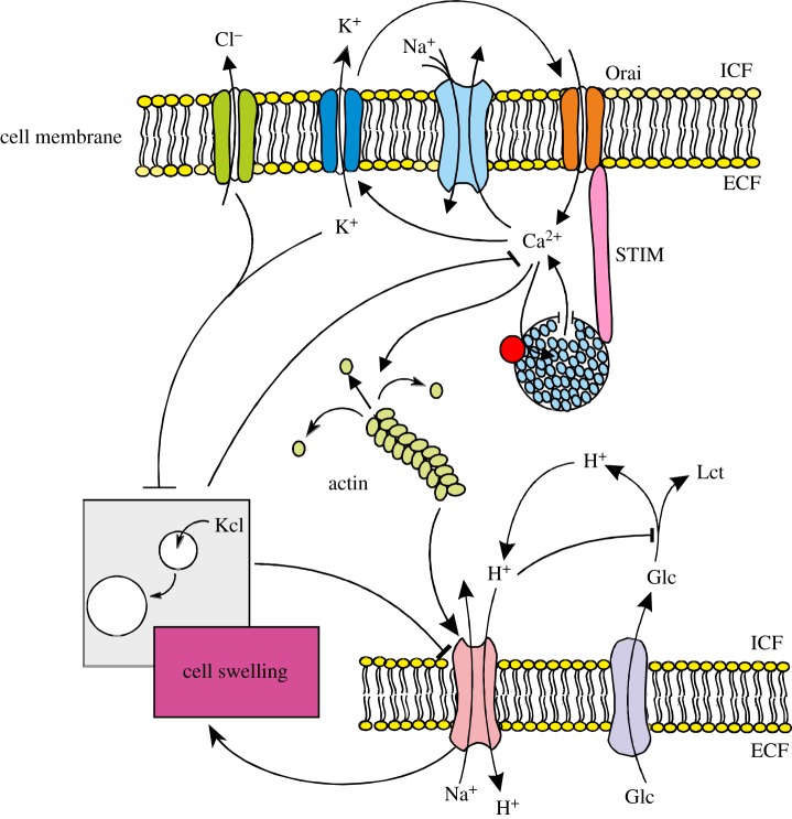 Figure 1.