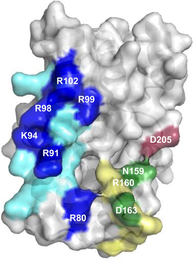 Figure 5.