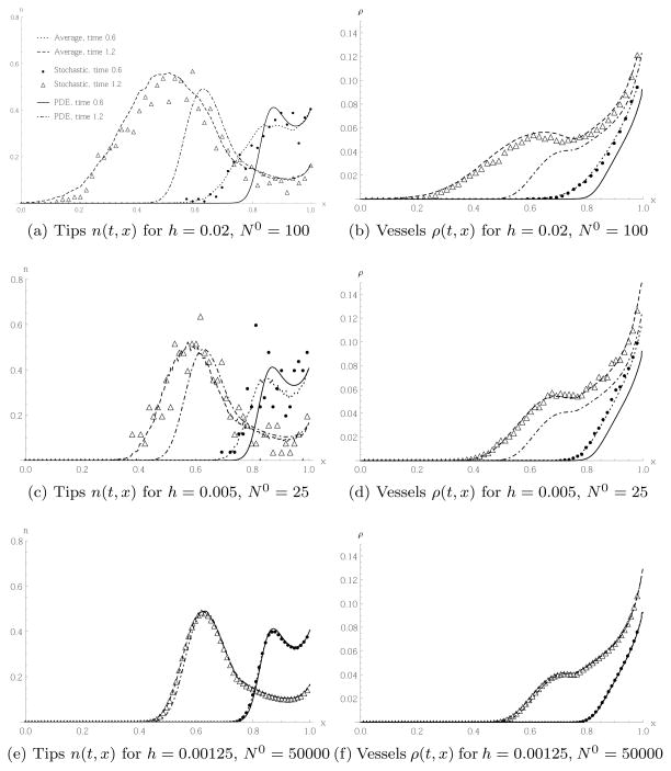 Fig. 12