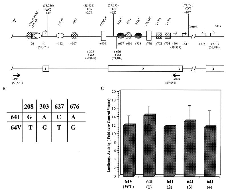 FIG. 7