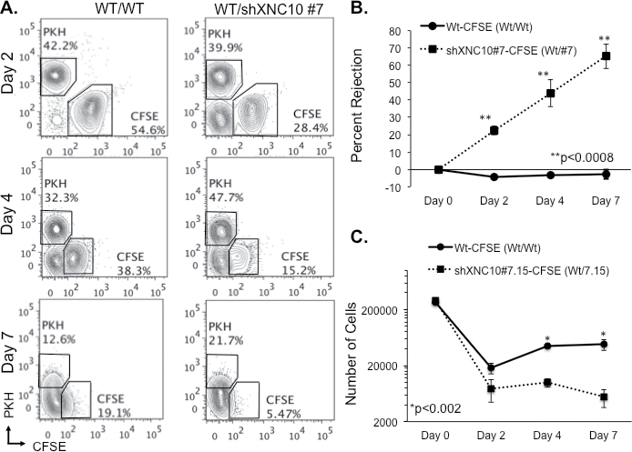 Fig. 6.