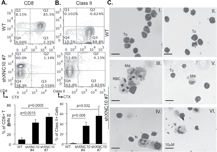 Fig. 4.