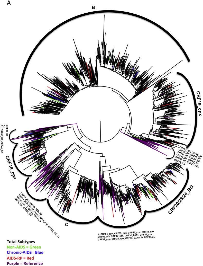 Supplementary Fig. 3