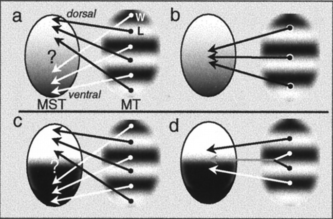 Fig. 13.