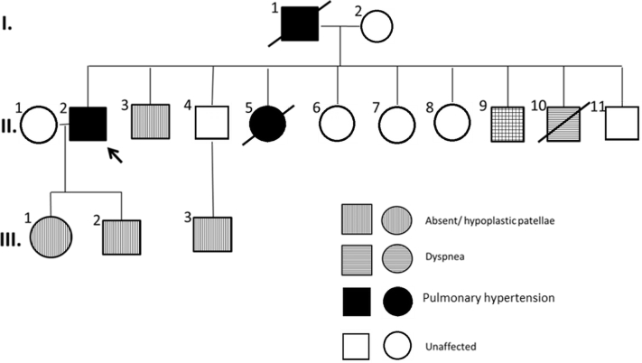 Figure 1