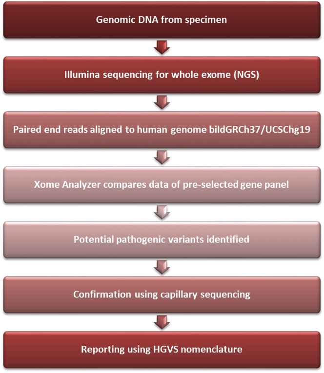 Figure 5