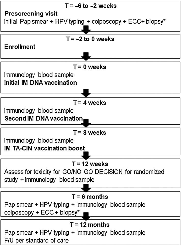 Figure 1. Schematic of study design. IM, intramuscular. If less than 2 individuals (0/12 or 1/12) developed vaccine attributable adverse event (AE) of grade 3 and none experience vaccine attributable grade 4 toxicities, proceed to randomized placebo-controlled study. If ≥ 2/12 developed vaccine attributable AE of grade 3 or any experience vaccine attributable grade 4 toxicities, then DSMB determines whether to stop, and/or whether to move to the randomized placebo-controlled study. *ECC required. Biopsy/biopsies as clinically indicated and prophylactic antibiotics given.