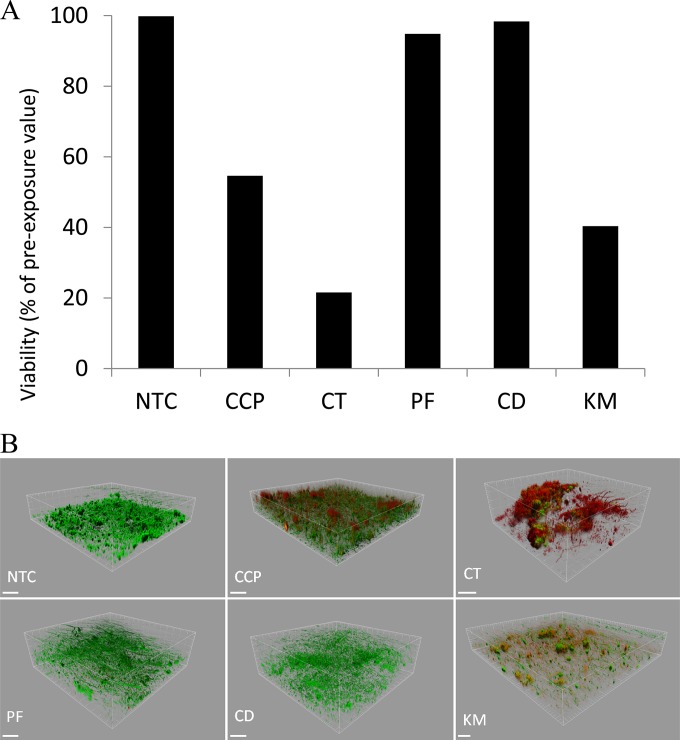 FIG 2