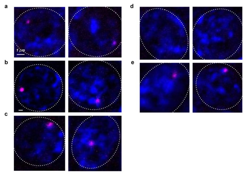 Figure 1—figure supplement 3.