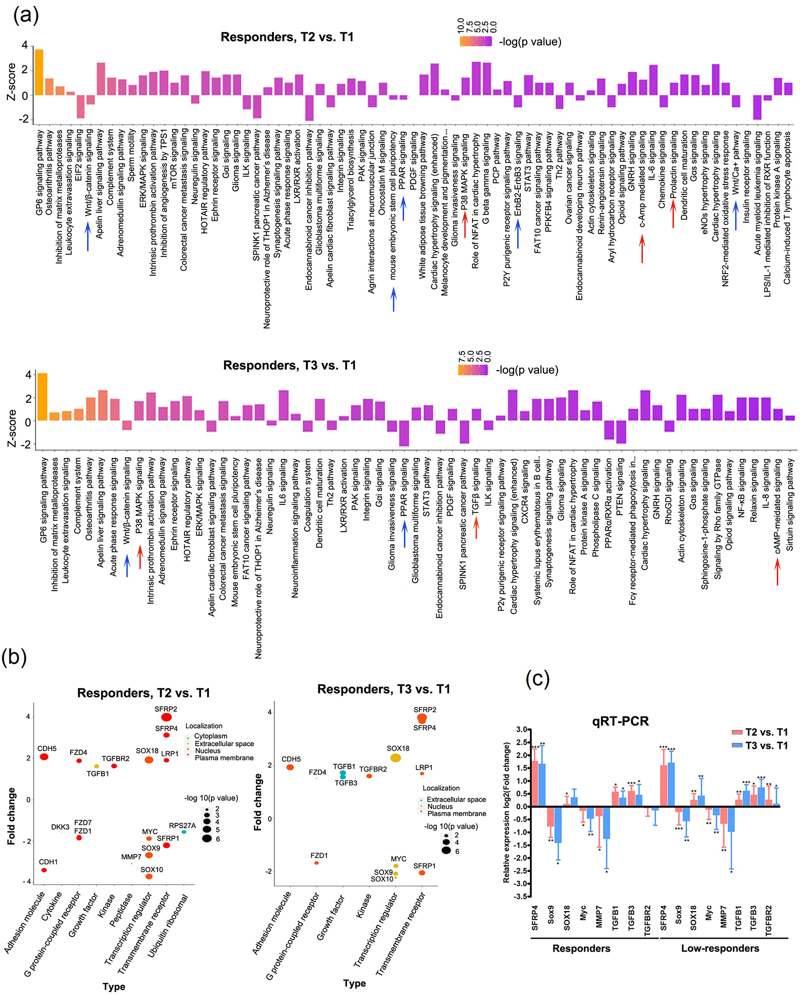 Fig. 3: