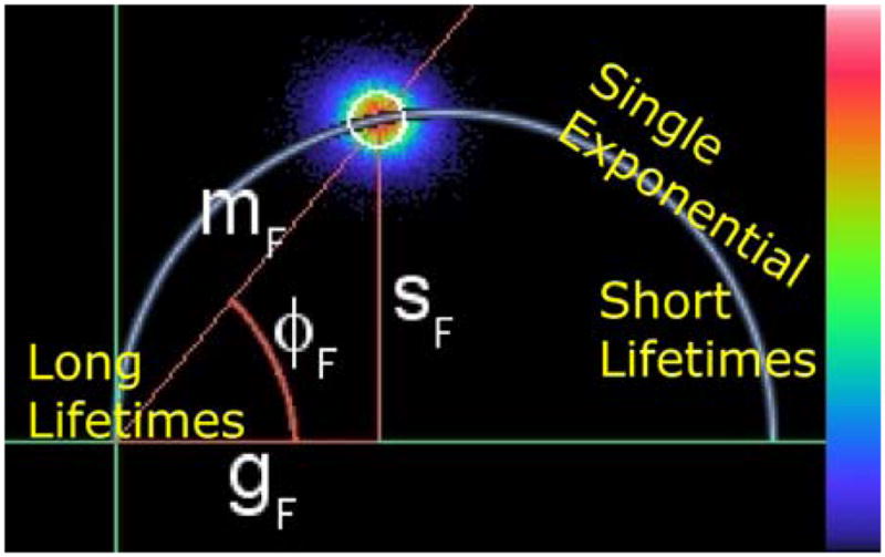 Fig. 2