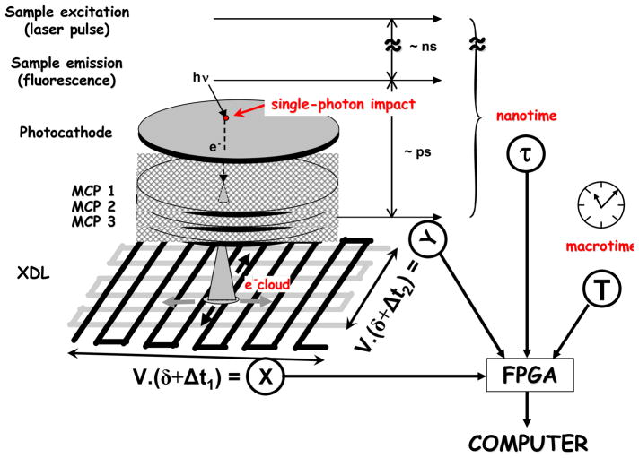 Fig. 1