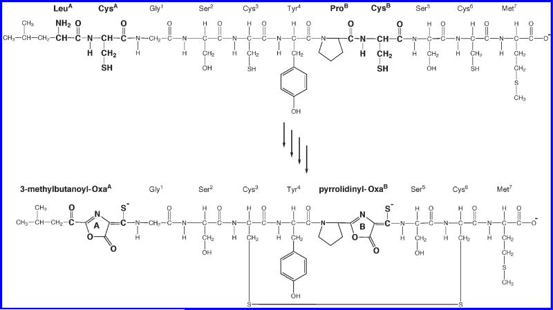 Scheme 3