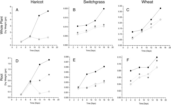 FIG 6