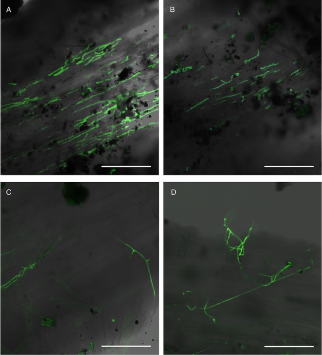 FIG 4