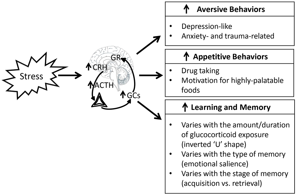 Figure 3)