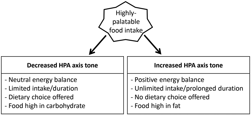 Figure 2)