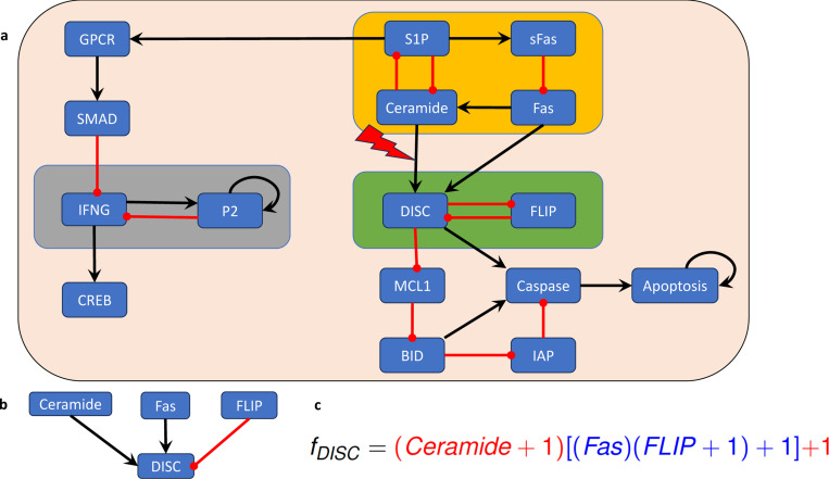 Figure 6: