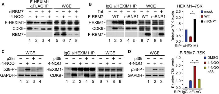 Figure 3