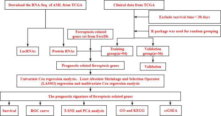 Figure 1