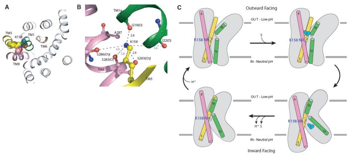 Fig. 4