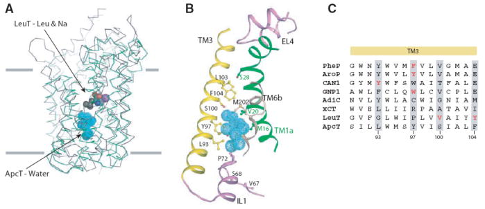 Fig. 3