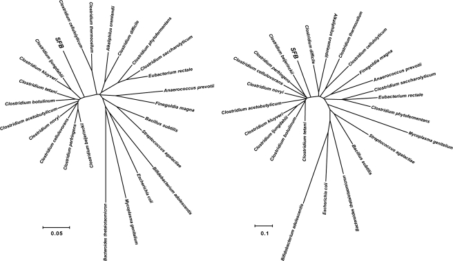 Figure 3.