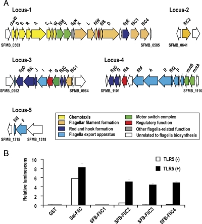 Figure 6.