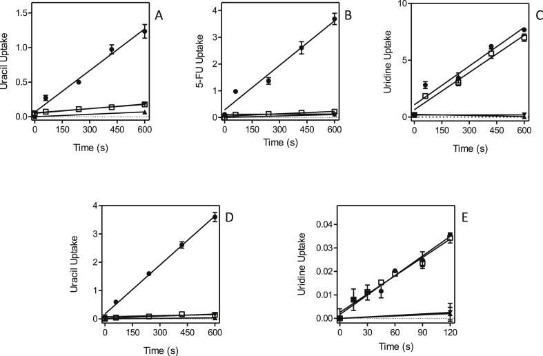 Fig. 10