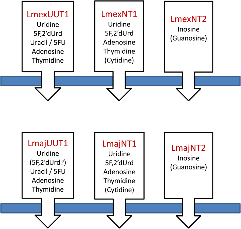 Fig. 15