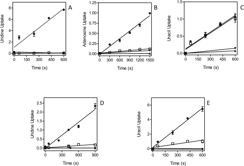 Fig. 11