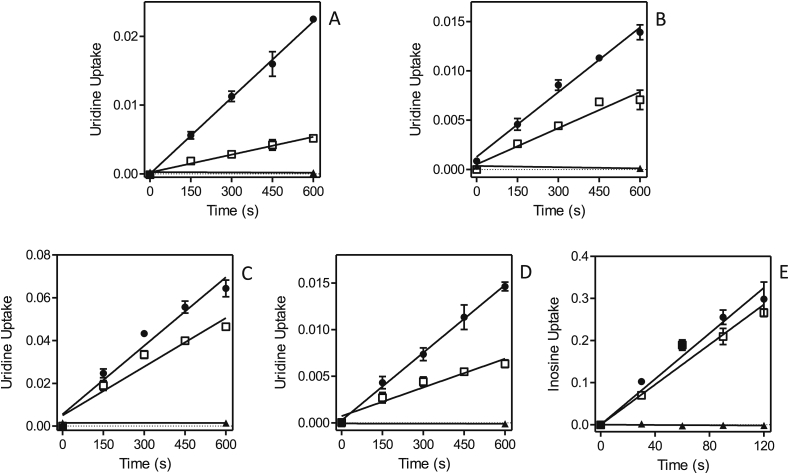 Fig. 8